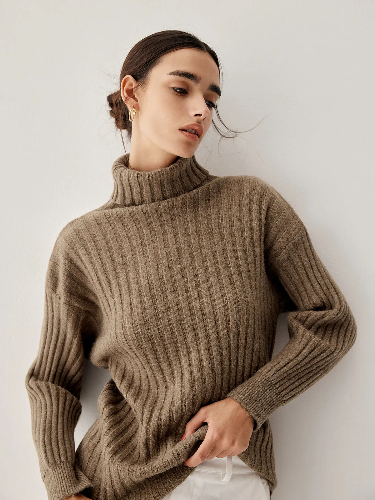 Oversized Turtleneck Long Trendy Sleeve Knit Top