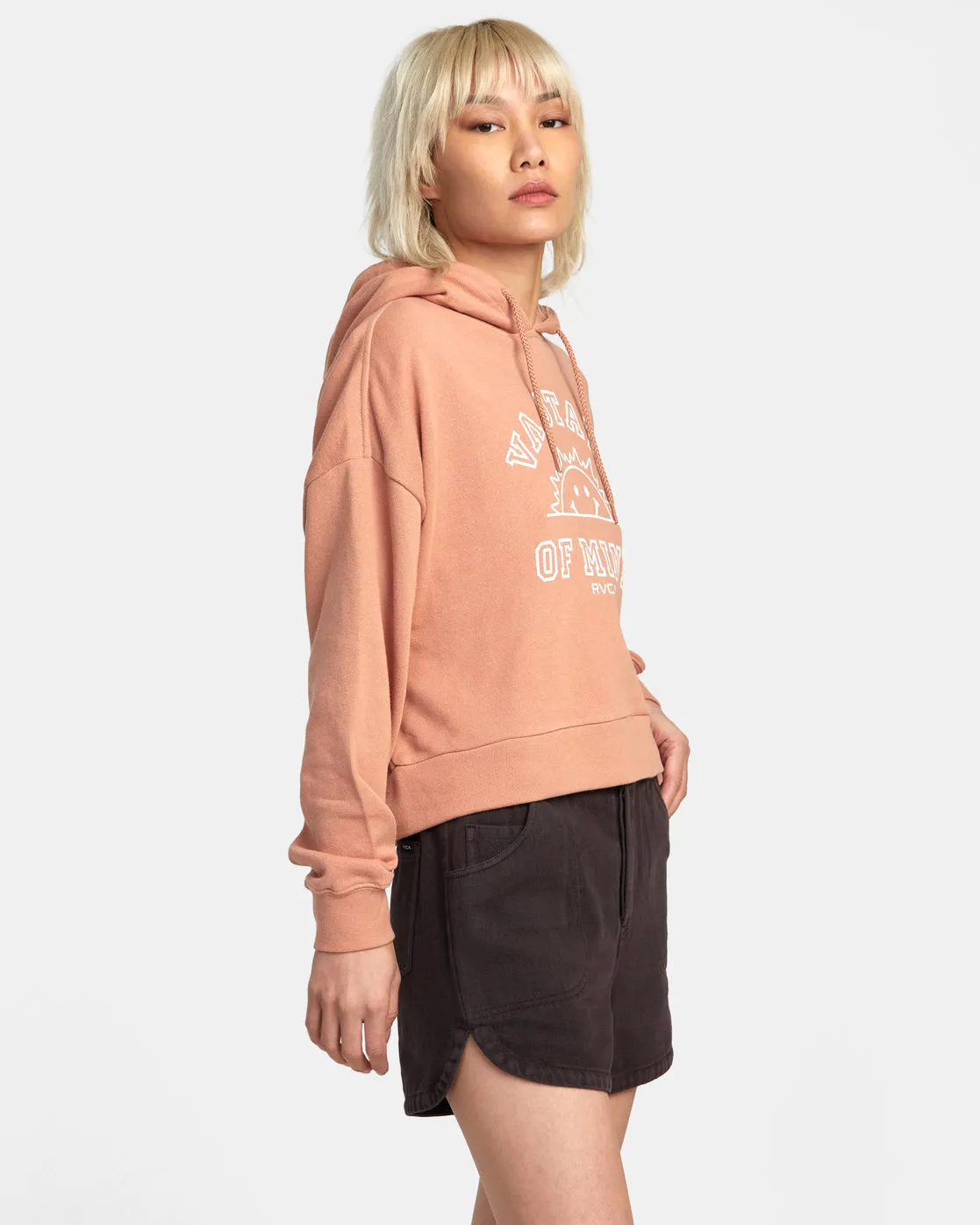 VA State Of Mind Hoodie - Cork